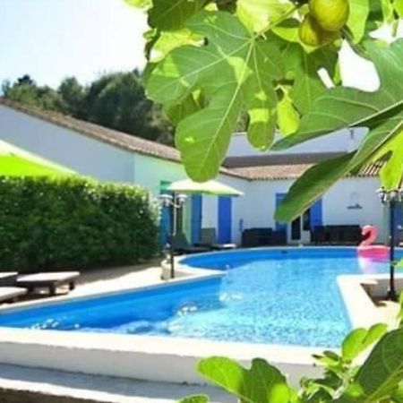 La Villa Du Menhir Chambre D'Hotes Bize-Minervois Exteriör bild