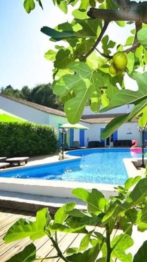 La Villa Du Menhir Chambre D'Hotes Bize-Minervois Exteriör bild