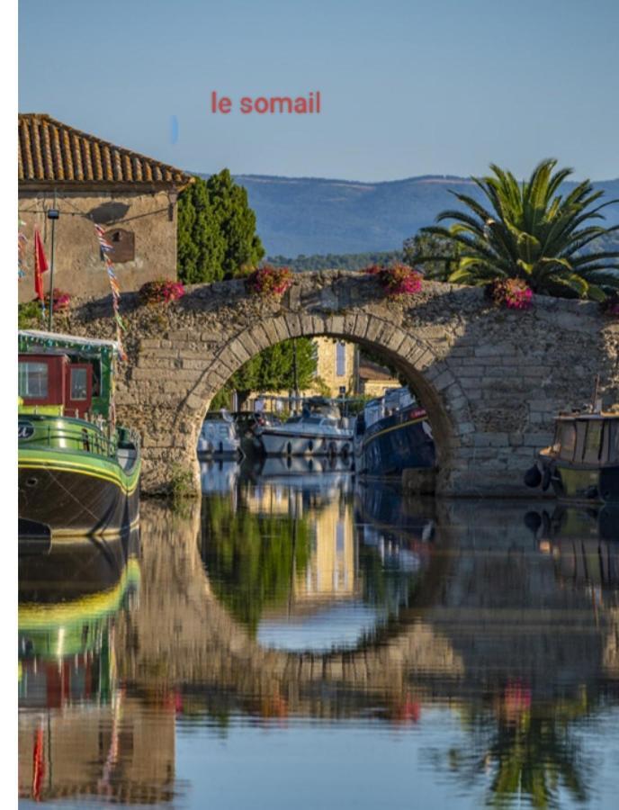 La Villa Du Menhir Chambre D'Hotes Bize-Minervois Exteriör bild